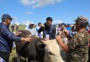 Төв аймаг 2023 онд 110 сая литр сүү бэлтгэн зах зээлд нийлүүлжээ