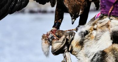 БҮРГЭДИЙН БАЯР ЭХЭЛЛЭЭ